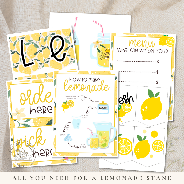 Lemonade Stand Kit